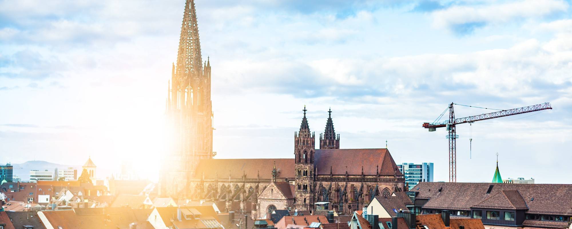 Quelle: KSW Freiburg